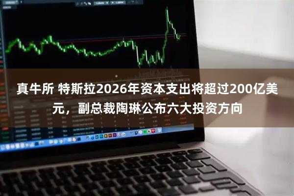 真牛所 特斯拉2026年资本支出将超过200亿美元，副总裁陶琳公布六大投资方向