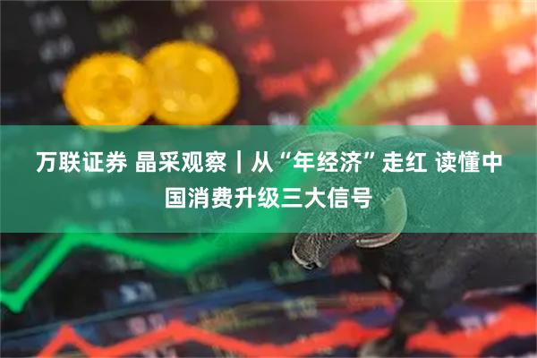 万联证券 晶采观察｜从“年经济”走红 读懂中国消费升级三大信号