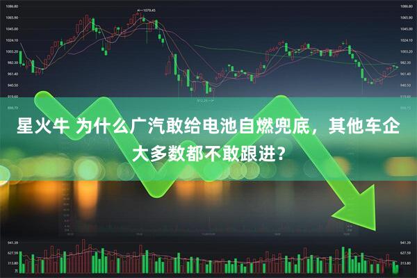 星火牛 为什么广汽敢给电池自燃兜底，其他车企大多数都不敢跟进？
