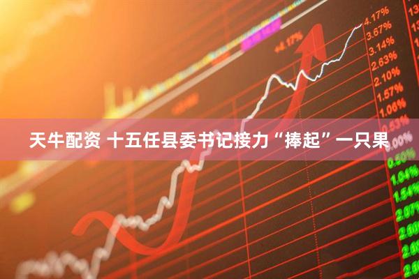 天牛配资 十五任县委书记接力“捧起”一只果