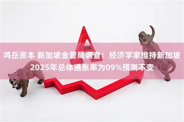 鸿岳资本 新加坡金管局调查：经济学家维持新加坡2025年总体通胀率为09%预测不变